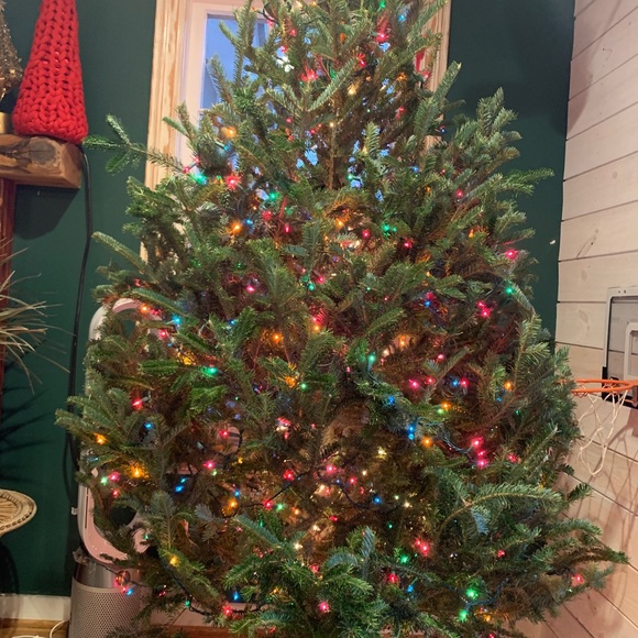 Meet your Posher, Roxanne - Picture 1 of 1